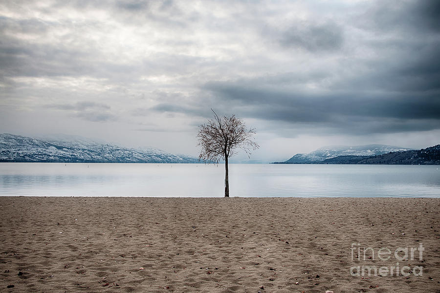 Solitude by David Emond Solitude by David Emond