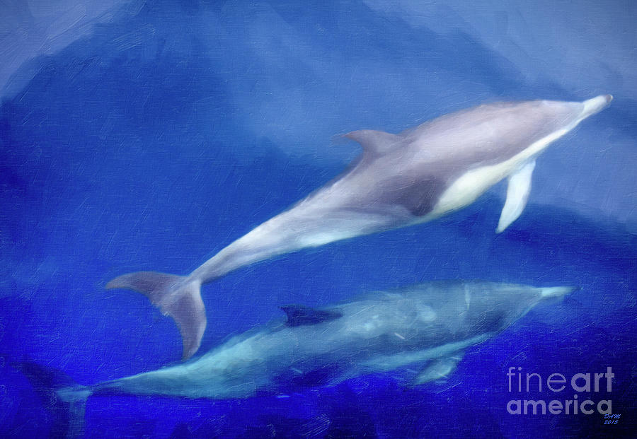 Dolphin Canvas Art Painting by David Millenheft