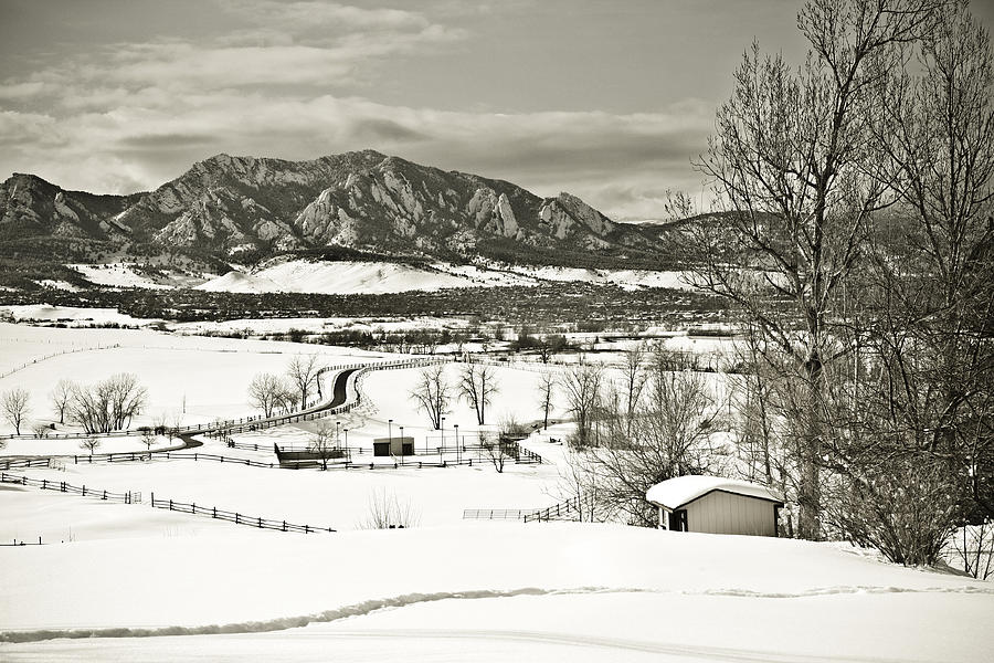 Solitude in Boulder County Photograph by Marilyn Hunt
