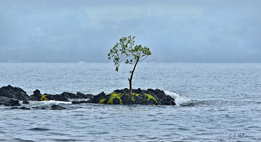 Solitude In Hilo Bay Photograph by Christopher Holmes