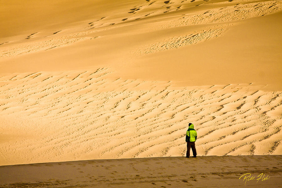 Solitude in the dunes Photograph by Rikk Flohr