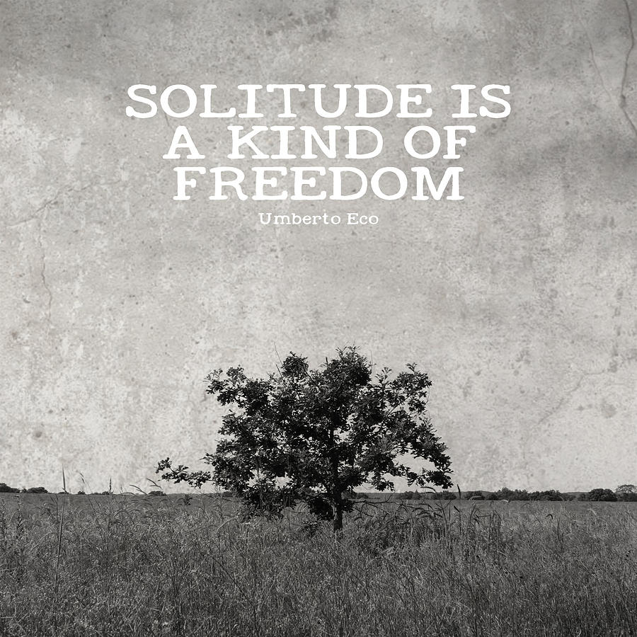 Solitude is Freedom Photograph by Inspired Arts