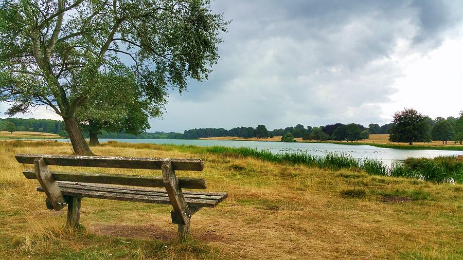 Solitude by Abbie Shores Solitude by Abbie Shores