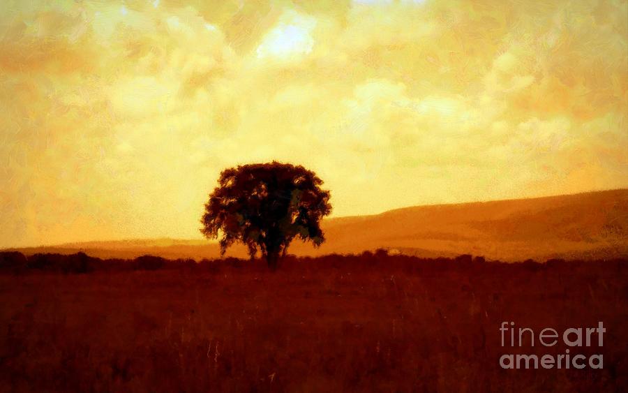 Solitude One Lone Tree Photograph by Janine Riley