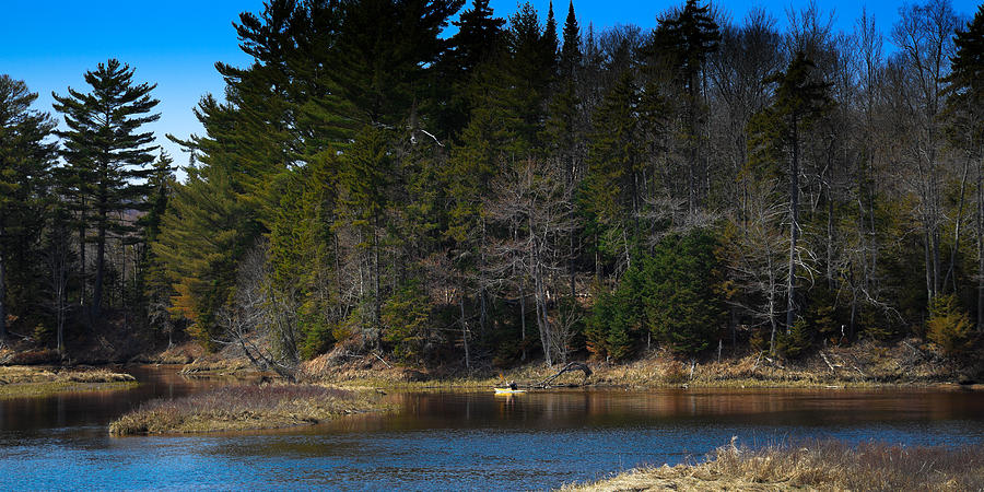 Solitude on the Moose River Photograph by David Patterson