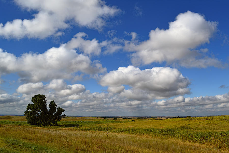 Solitude On The Prairie - landscape photography Photograph by Ann Powell
