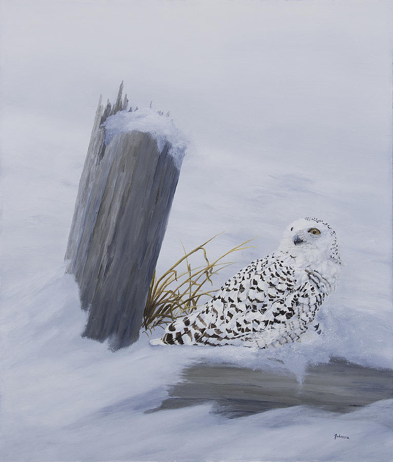 Solitude - Snowy Owl Painting by Johanna Lerwick