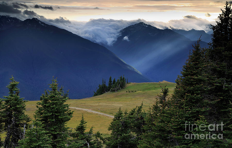 Olympic National Park Photograph - Solitude by Tim Hauf