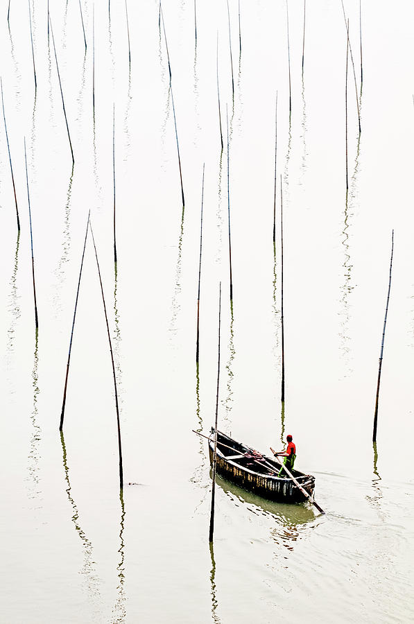 Solitude Photograph by Usha Peddamatham