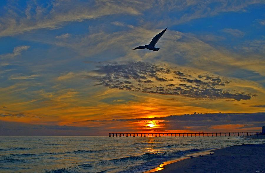 0218 Solo Gull at Sunset on Navarre Beach Photograph by Jeff at JSJ Photography