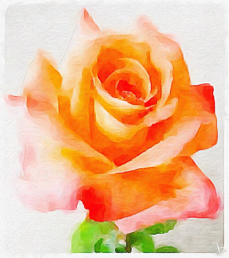 Flower Painting - Solo by Jennifer Buerkle