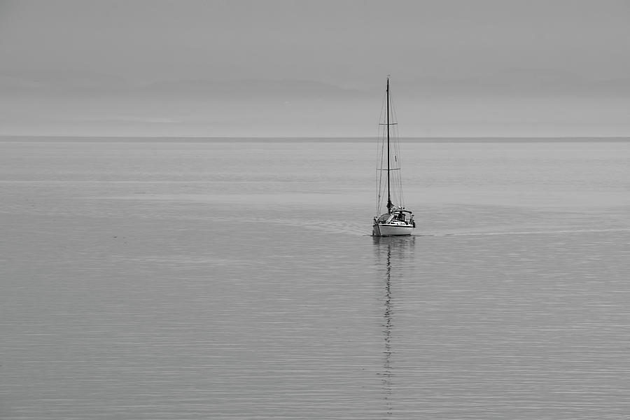 Solo Sailing Photograph by Inge Riis McDonald