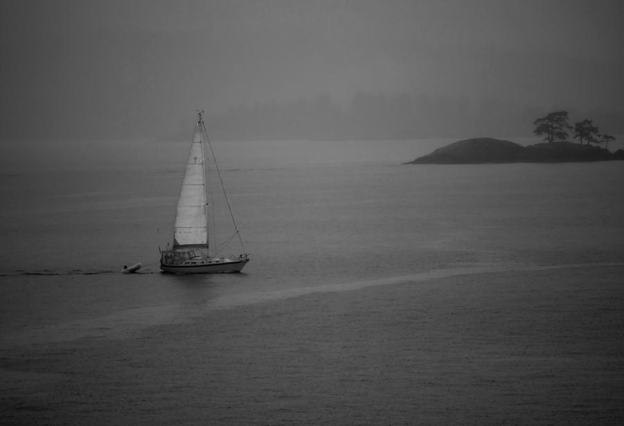 Solo Sails Photograph by Dale Stillman