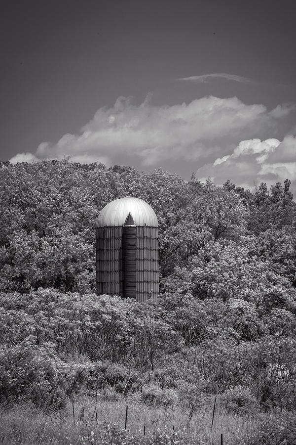Solo Silo Photograph by Guy Whiteley