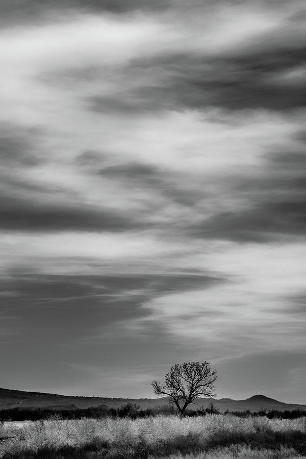 Tree Photograph - Solo Tree with Clouds by Joseph Smith
