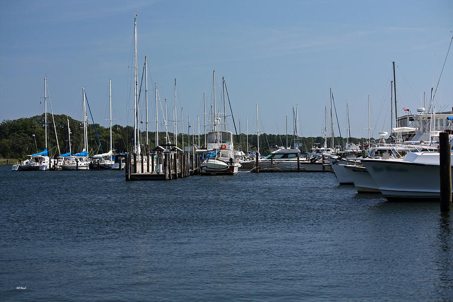 Solomons Island - The Sailboats of Solomons Photograph by Ronald Reid