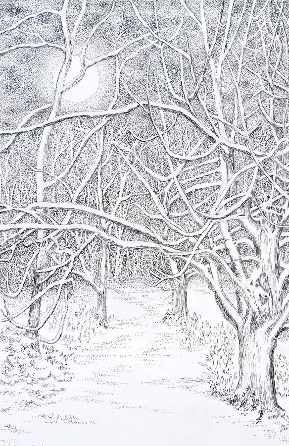 Tree Drawing - Solstice Moon by Janice Petrella-Walsh