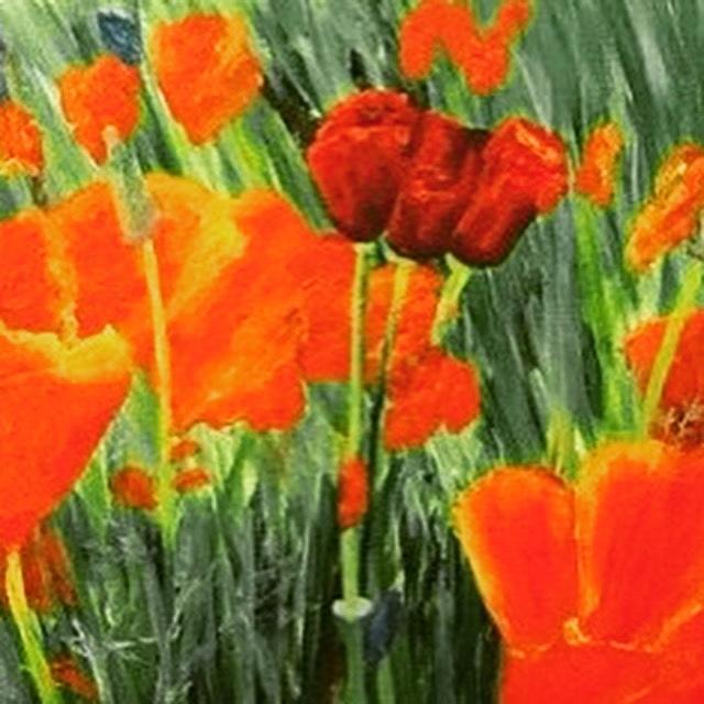 Solvang Red Poppies Popping Painting by Dottie Visker