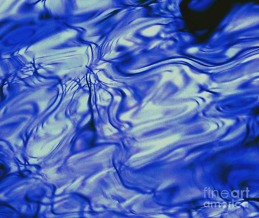 Solvent Blue Photograph by Sybil Staples