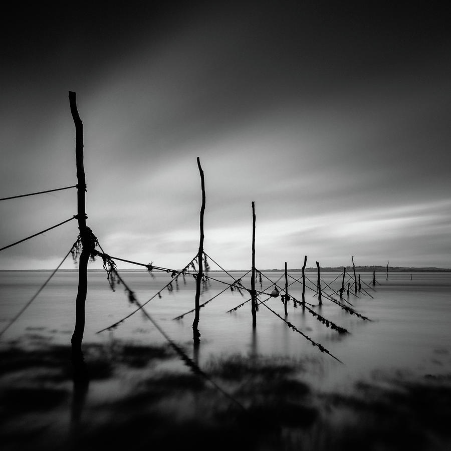 Black And White Photograph - Solway Firth Fishing Nets by Dave Bowman