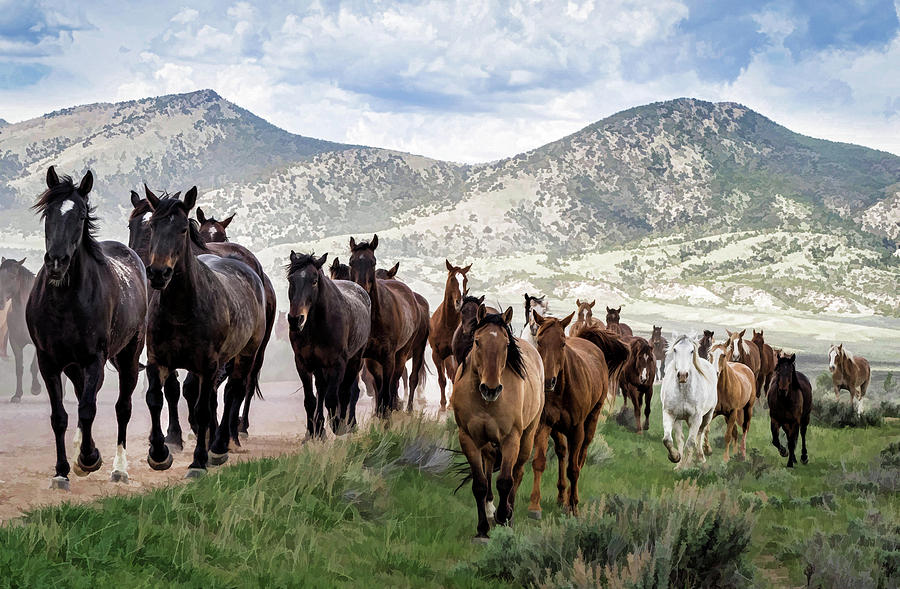 Sombrero Ranch Horse Drive, an annual event in Maybell, Colorado by Nadja Rider Sombrero Ranch Horse Drive, an annual event in Maybell, Colorado by Nadja Rider