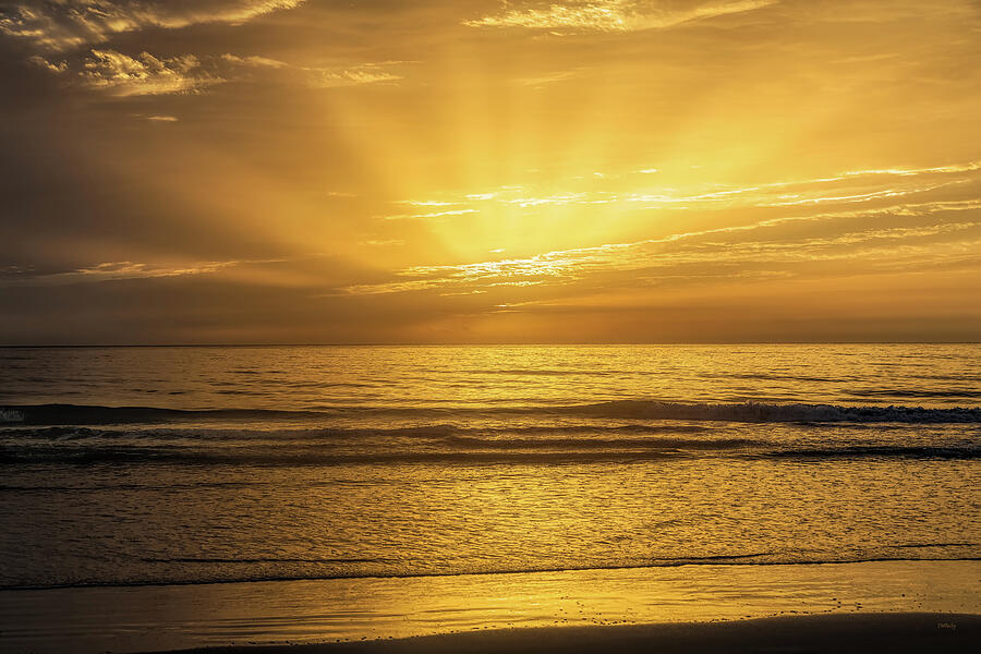 Some Golden Daybreak Photograph by John M Bailey