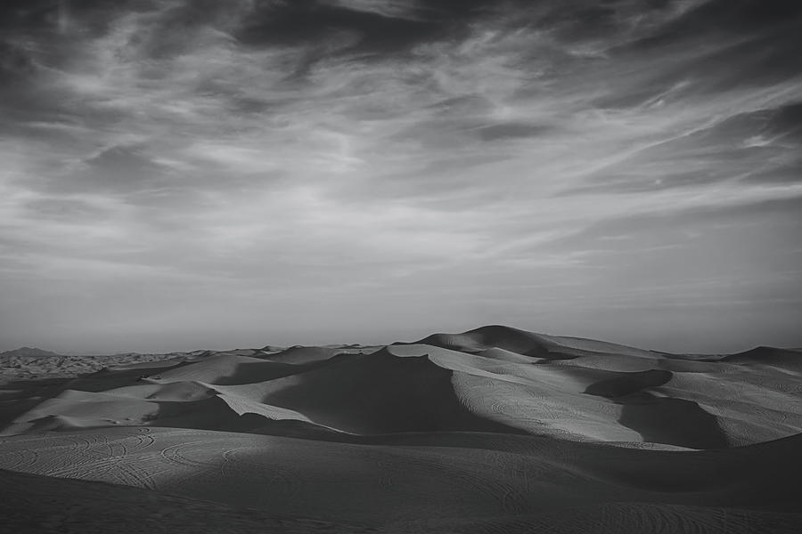 Desert Photograph - Somehow, Some Way by Laurie Search
