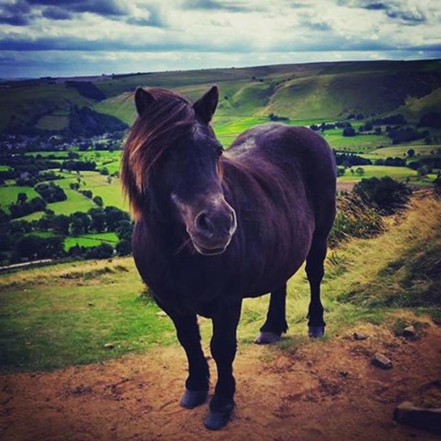 Mountain Photograph - Someone We Met On Top Of Mam Tor. He by Rebecca Bromwich
