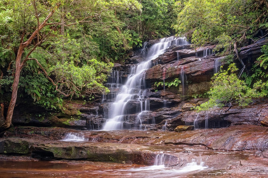 Somersby Falls, NSW, Australia Photograph by Daniela Constantinescu ...