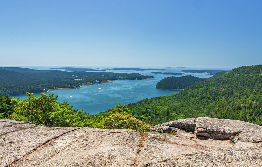 Somes Sound from Acadia Mountain Photograph by Elizabeth Dow