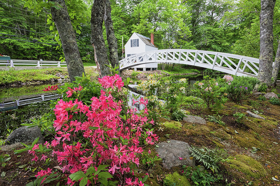 Somesville Garden Bridge  Photograph by Dennis Kowalewski