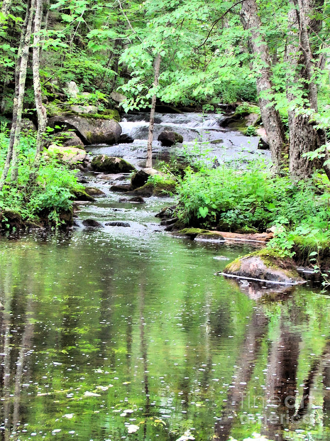 Somesville Stream  Photograph by Elizabeth Dow