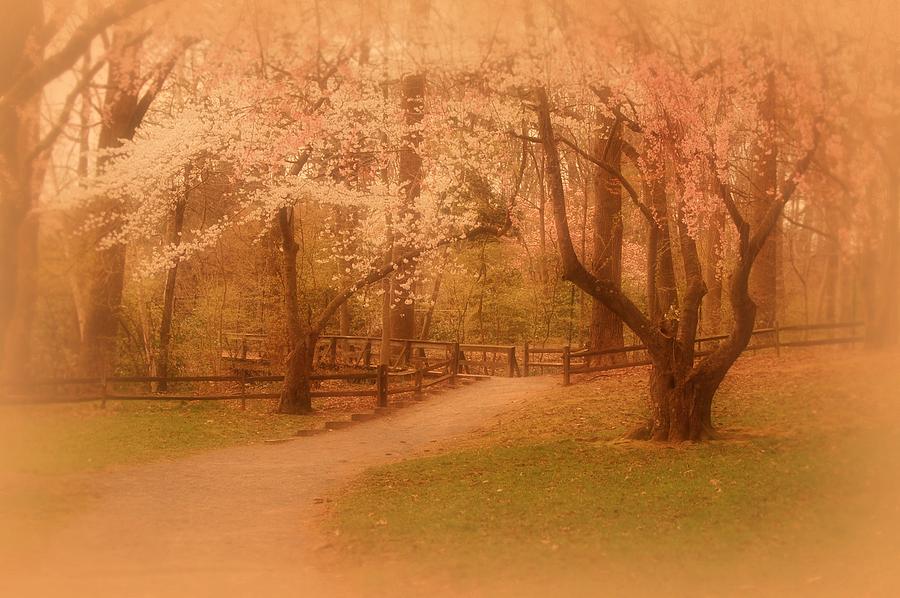 Landscape Photograph - Sometimes - Holmdel Park by Angie Tirado