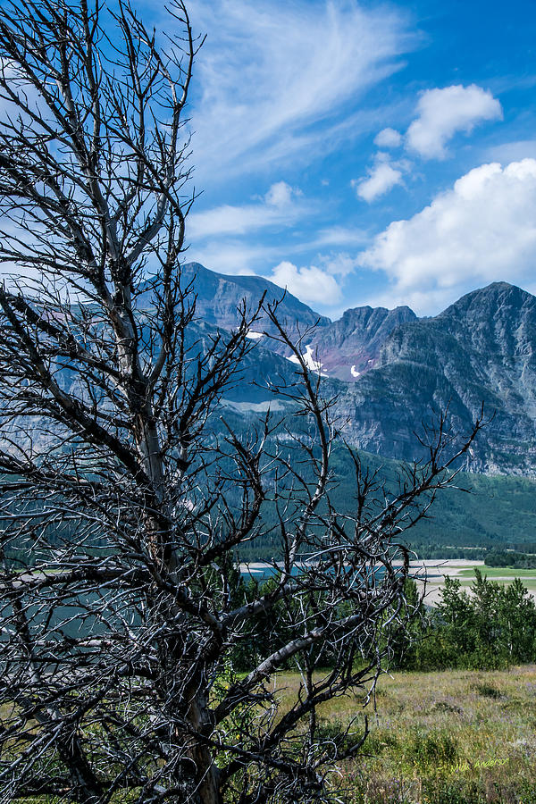 Glacier National Park Photograph - Sometimes A Harsh Wind Blows by Mick Anderson