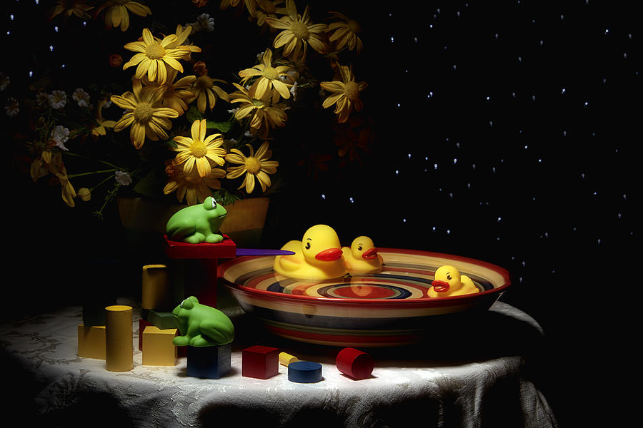 Duck Photograph - Sometimes Late at Night by Tom Mc Nemar