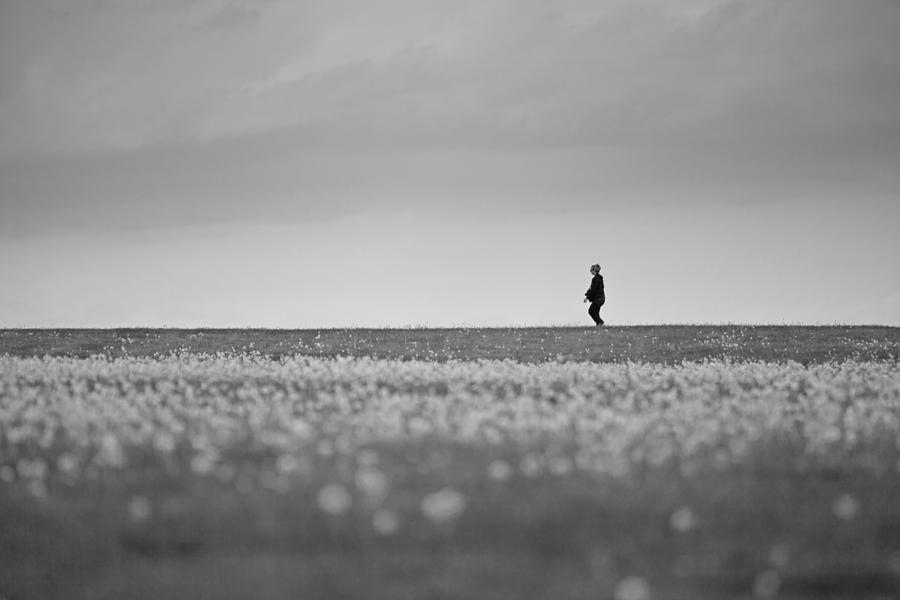 Sometimes We All Walk Alone BW Photograph by Karol Livote