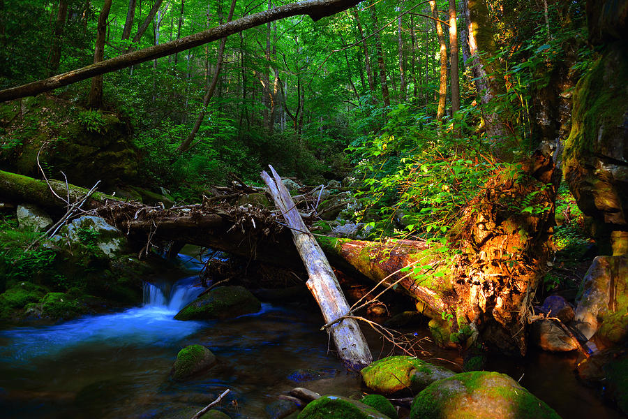Landscape Photograph - Somewere deep in the Smoky Mountains by David Lee Thompson
