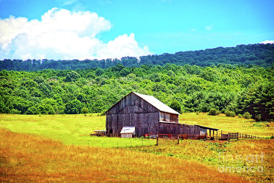 Somewhere in Pennsylvania Photograph by Debbie Nobile | Fine Art America