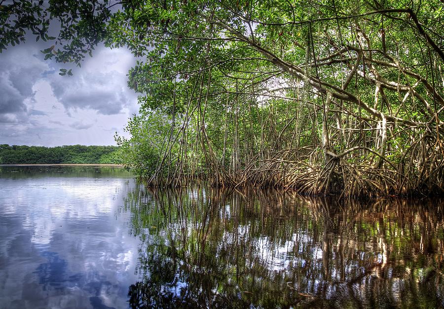 Landscape Photograph - Somewhere in the Everglades by Alberto Audisio