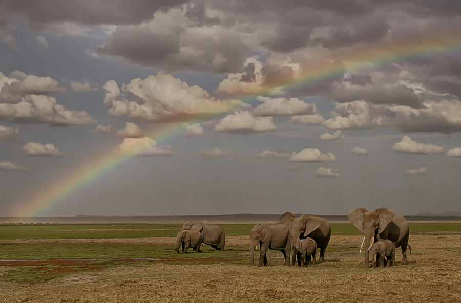 Somewhere Under the Rainbow Photograph by Gary Hall