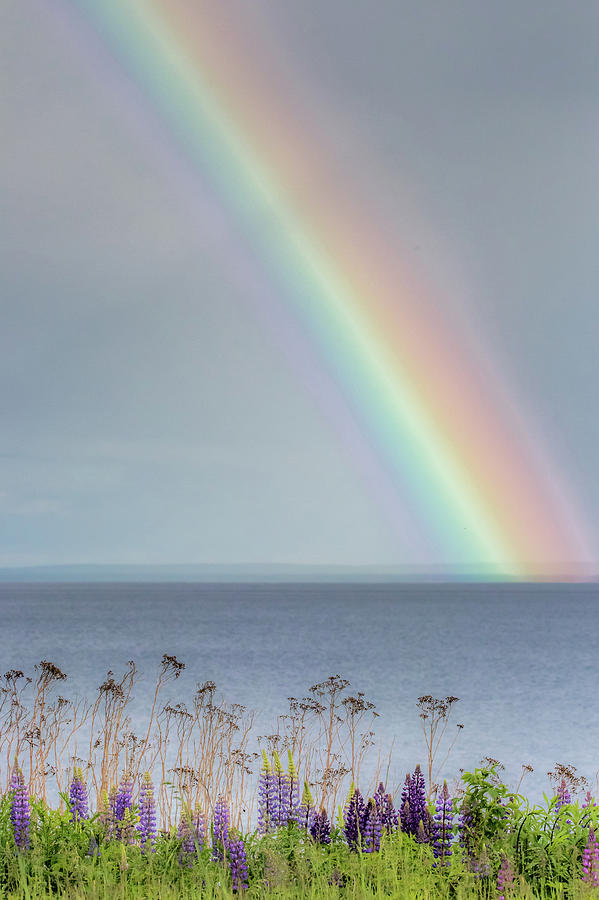 Somewhere Under the Rainbow Photograph by Mary Amerman