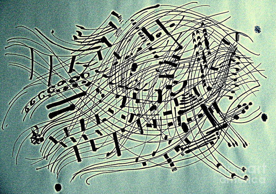 Sonata Drawing by Nancy Kane Chapman