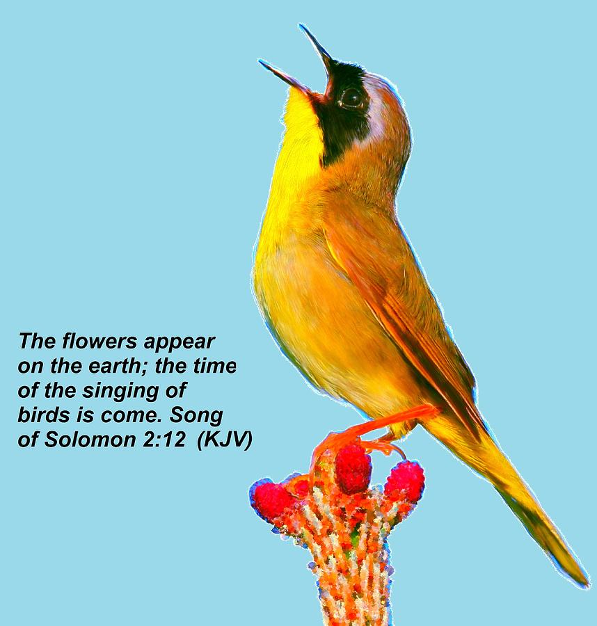 meaning of song of solomon