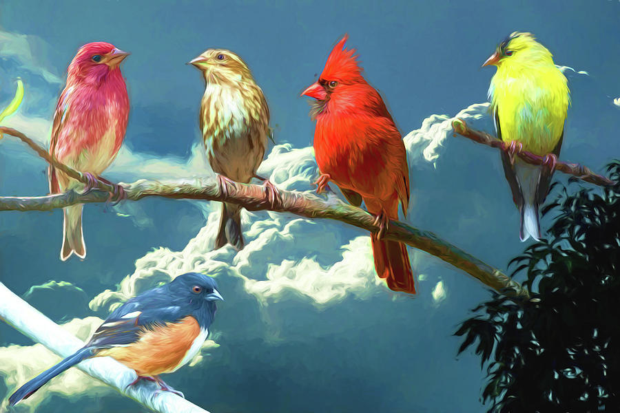 Songbirds ala Van Gogh Digital Art by John Haldane