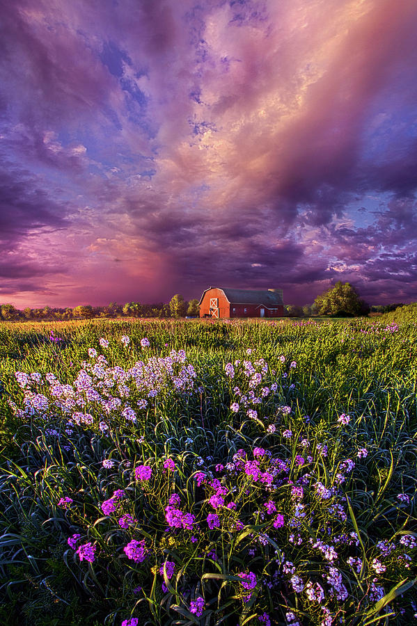 Songs of Days Gone By Photograph by Phil Koch - Fine Art America