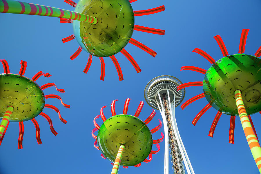 Sonic Bloom In Seattle Center Photograph