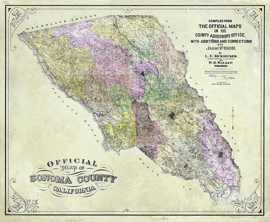 Wine Photograph - Sonoma County Map 1900 by Jon Neidert