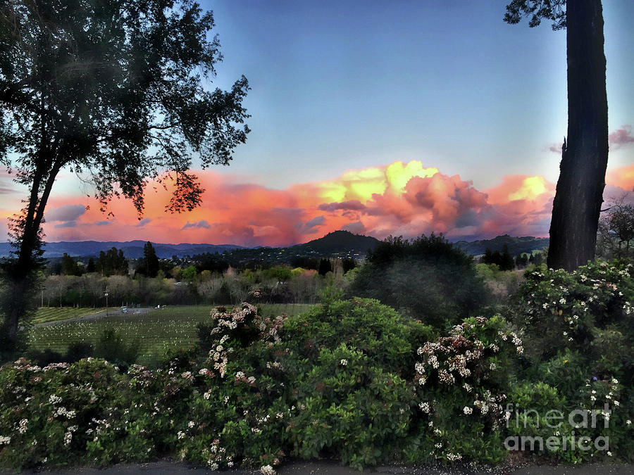 Sonoma County Sunsets by Leslie Hunziker Sonoma County Sunsets by Leslie Hunziker