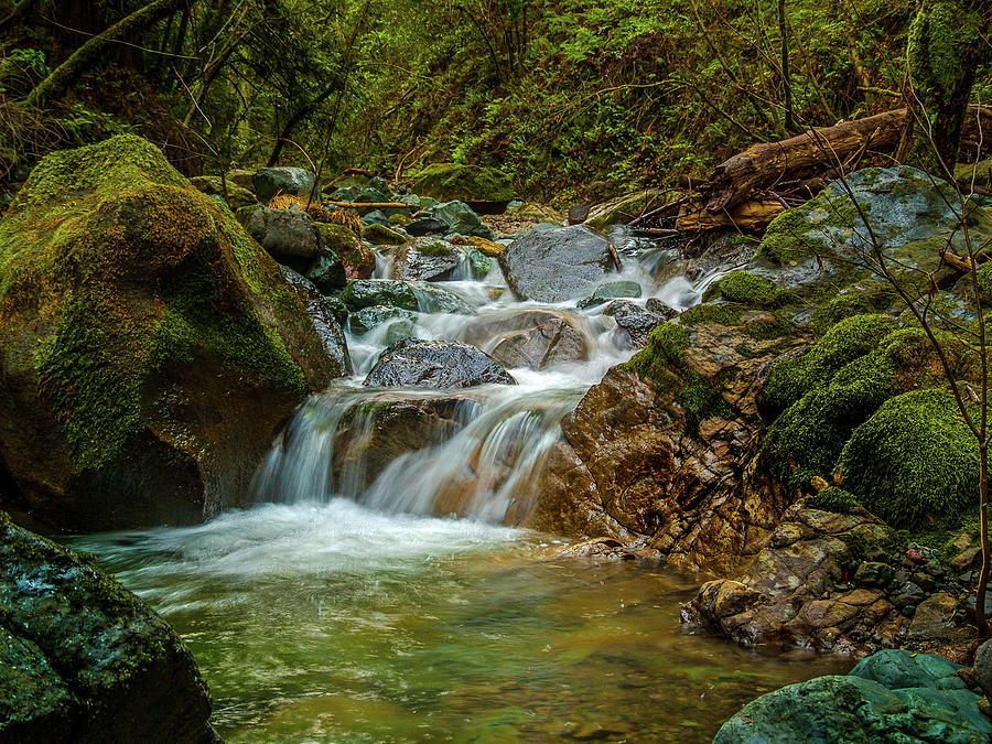 Sonoma Valley Creek Photograph by Bill Gallagher