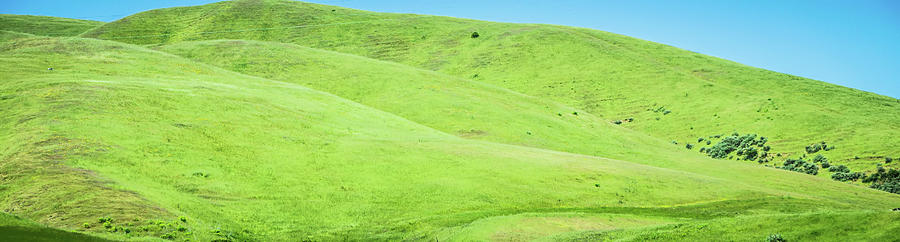 Sonoma Valley Landscapes On A Sunny Day Photograph by Alex Grichenko
